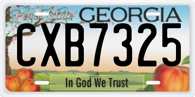 GA license plate CXB7325