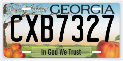 GA license plate CXB7327