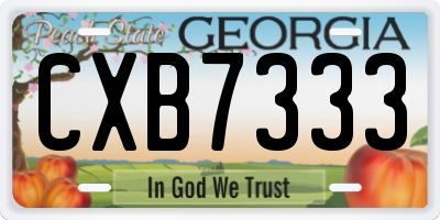 GA license plate CXB7333