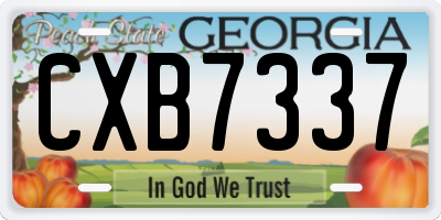 GA license plate CXB7337