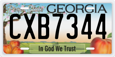 GA license plate CXB7344