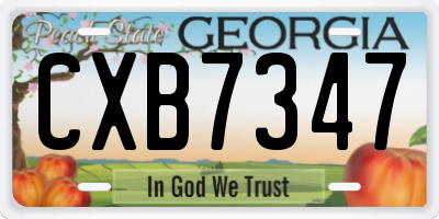 GA license plate CXB7347