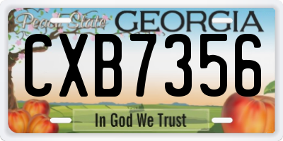 GA license plate CXB7356