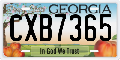 GA license plate CXB7365