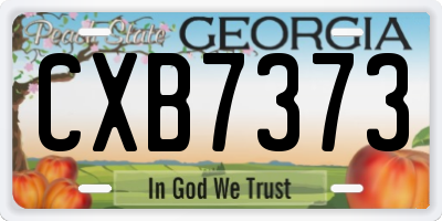 GA license plate CXB7373