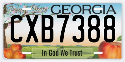 GA license plate CXB7388
