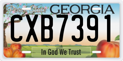 GA license plate CXB7391