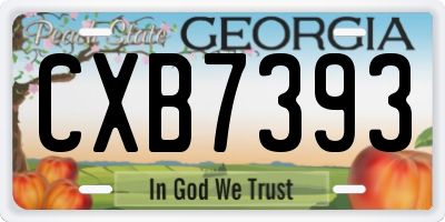 GA license plate CXB7393