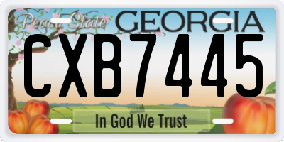 GA license plate CXB7445