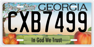 GA license plate CXB7499