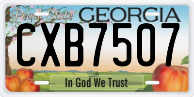 GA license plate CXB7507
