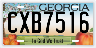 GA license plate CXB7516