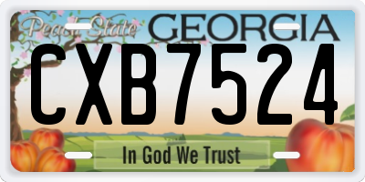 GA license plate CXB7524