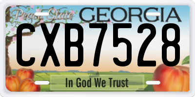 GA license plate CXB7528