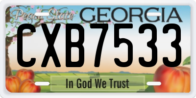 GA license plate CXB7533