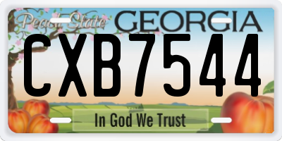 GA license plate CXB7544
