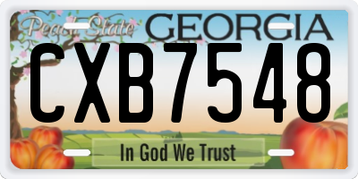 GA license plate CXB7548