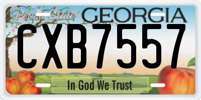 GA license plate CXB7557