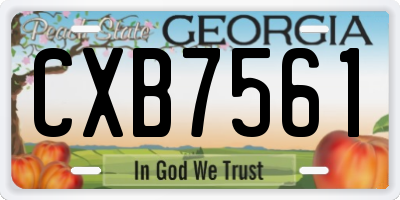 GA license plate CXB7561