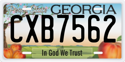 GA license plate CXB7562