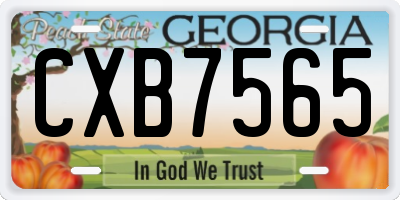 GA license plate CXB7565