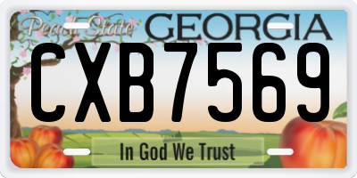 GA license plate CXB7569