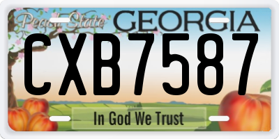 GA license plate CXB7587