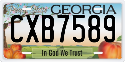 GA license plate CXB7589