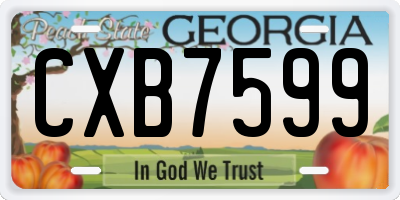 GA license plate CXB7599