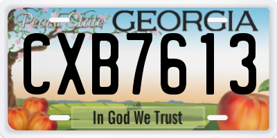 GA license plate CXB7613