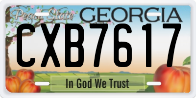 GA license plate CXB7617