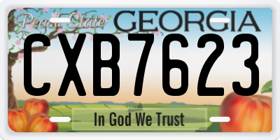 GA license plate CXB7623