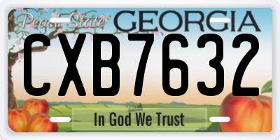 GA license plate CXB7632