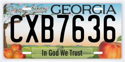 GA license plate CXB7636
