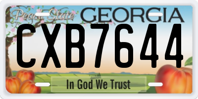 GA license plate CXB7644