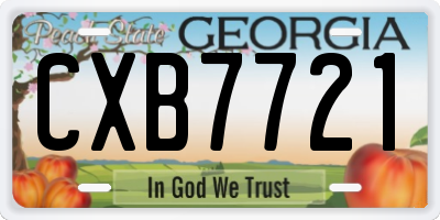 GA license plate CXB7721