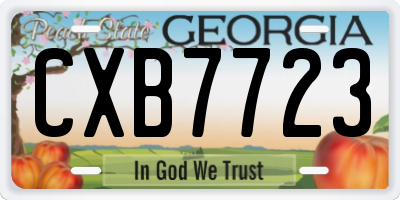 GA license plate CXB7723