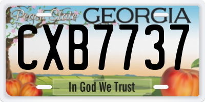 GA license plate CXB7737