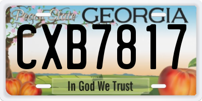 GA license plate CXB7817