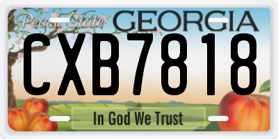 GA license plate CXB7818