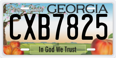 GA license plate CXB7825