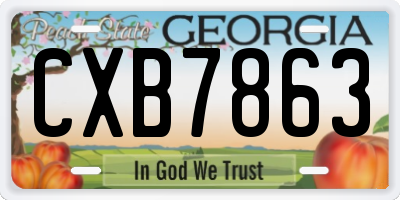 GA license plate CXB7863