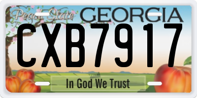 GA license plate CXB7917