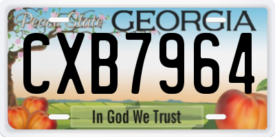 GA license plate CXB7964