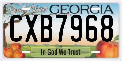GA license plate CXB7968