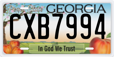 GA license plate CXB7994