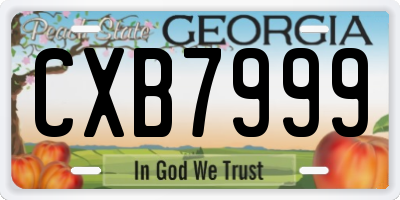 GA license plate CXB7999