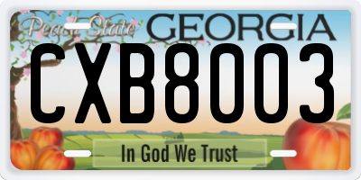 GA license plate CXB8003