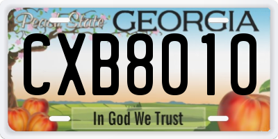 GA license plate CXB8010