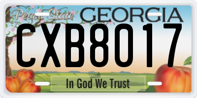 GA license plate CXB8017
